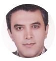 مهدی برزویی